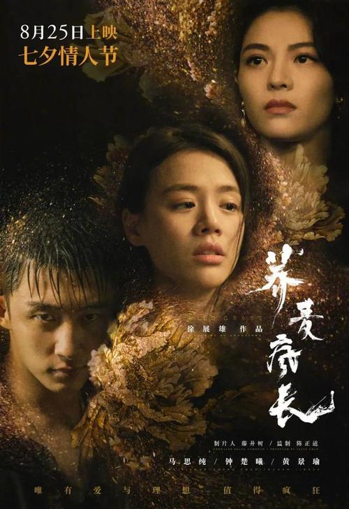 不动产登记查询证明去哪开